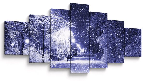 Obraz - Kouzelná zimní noc (210x100 cm)