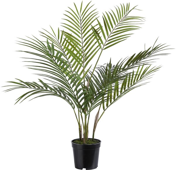 UMĚLÁ ROSTLINA 75 cm - Umělé rostliny, Online Only