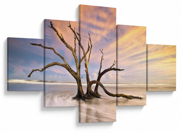 Obraz stromu v oceánu (125x70 cm)