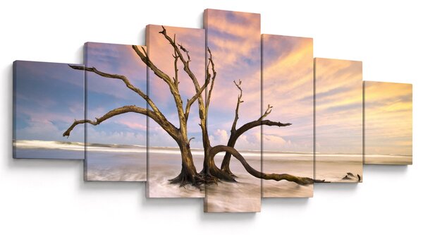 Obraz stromu v oceánu (210x100 cm)