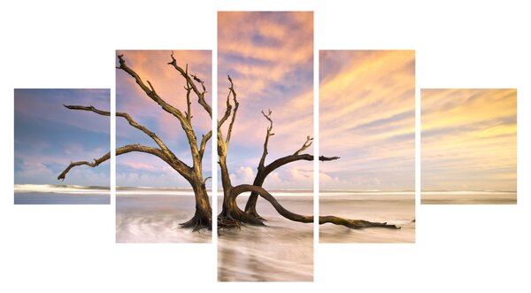 Obraz stromu v oceánu (125x70 cm)