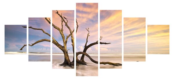 Obraz stromu v oceánu (210x100 cm)