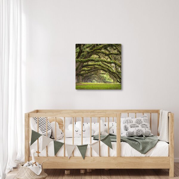 Obraz - Oaks Avenue, Charleston, Jižní Karolína, USA (30x30 cm)