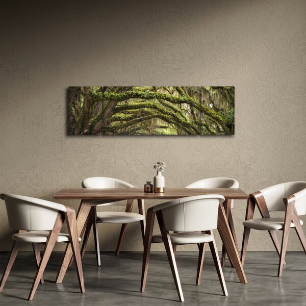 Obraz - Oaks Avenue, Charleston, Jižní Karolína, USA (170x50 cm)