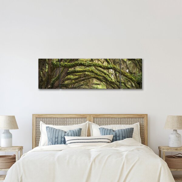 Obraz - Oaks Avenue, Charleston, Jižní Karolína, USA (170x50 cm)