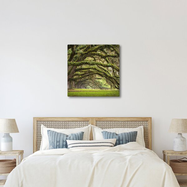 Obraz - Oaks Avenue, Charleston, Jižní Karolína, USA (30x30 cm)