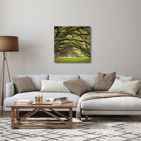Obraz - Oaks Avenue, Charleston, Jižní Karolína, USA (30x30 cm)
