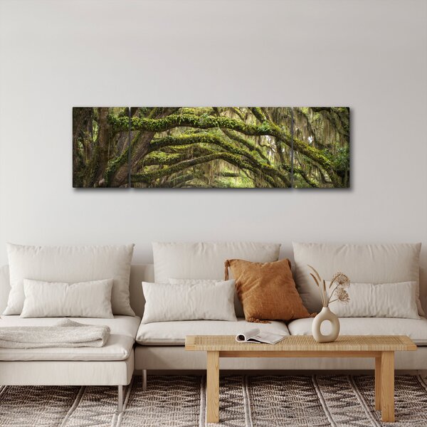 Obraz - Oaks Avenue, Charleston, Jižní Karolína, USA (170x50 cm)