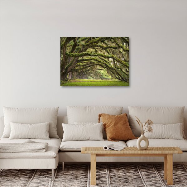 Obraz - Oaks Avenue, Charleston, Jižní Karolína, USA (70x50 cm)