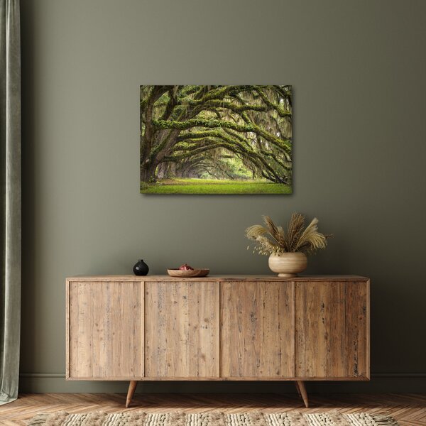 Obraz - Oaks Avenue, Charleston, Jižní Karolína, USA (70x50 cm)