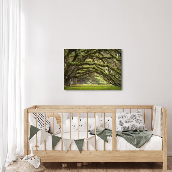 Obraz - Oaks Avenue, Charleston, Jižní Karolína, USA (70x50 cm)