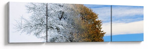Obraz - Změna ročního období (170x50 cm)