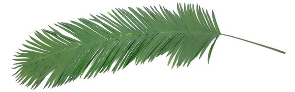 Umělý palmový list kokosová palma, 180cm