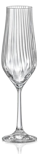 Crystalex Sklenice na sekt Tulipa Optic 170 ml 6 ks