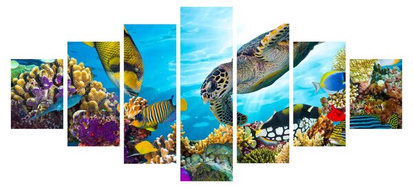 Obraz korálového útesu (210x100 cm)