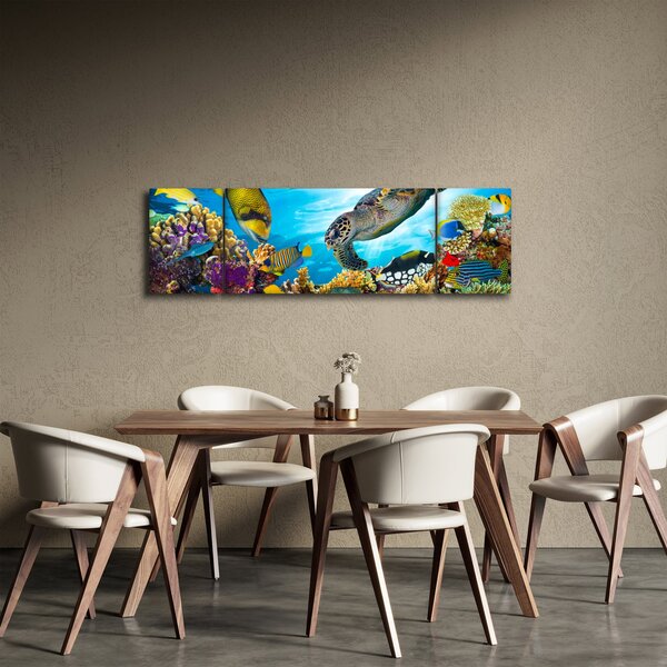 Obraz korálového útesu (170x50 cm)