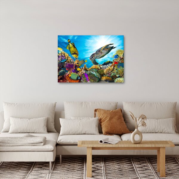Obraz korálového útesu (70x50 cm)