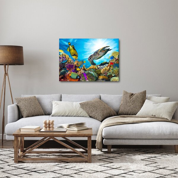 Obraz korálového útesu (70x50 cm)