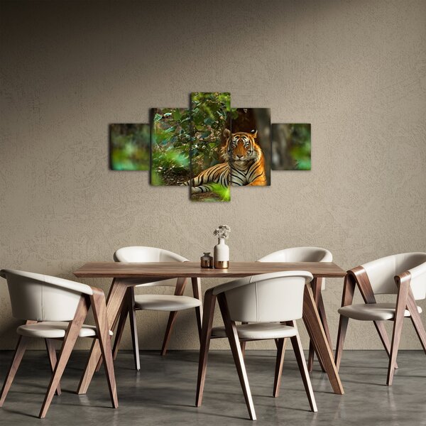 Obraz odpočívajícího tygra (125x70 cm)