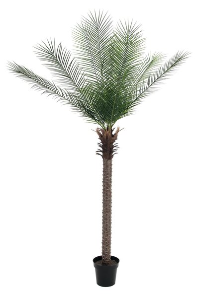 Umělá palma Phoenix deluxe, 220cm
