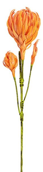 Jiřina se třemi květy oranžová, 100 cm