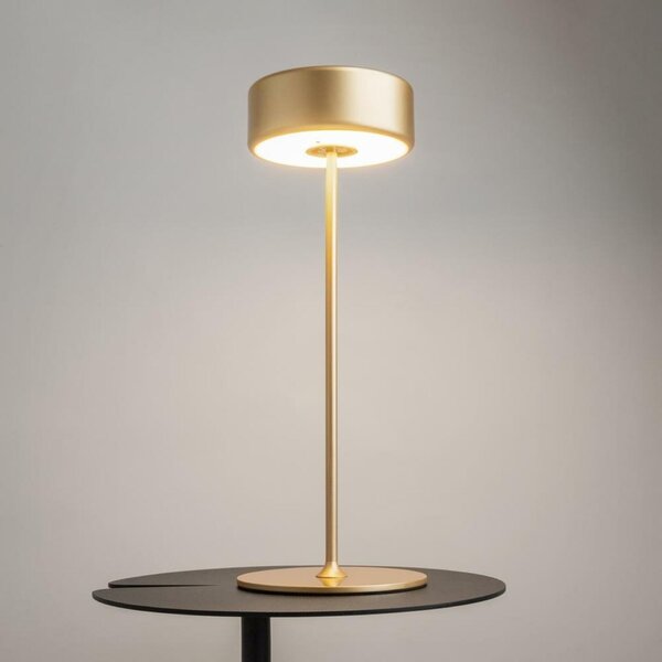 MAYTONI Stolní lampa na baterie AI Collaboration 3W MOD229TL-L3G3K2