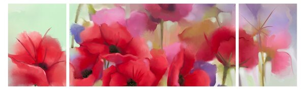 Obraz vlčích máků (170x50 cm)