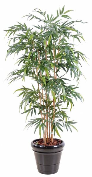 Umělý Bambus strom - přírodní kmeny UV ochrana, 150cm
