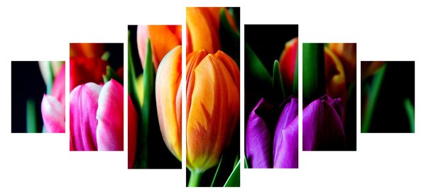 Obraz tulipánů na černém pozadí (210x100 cm)