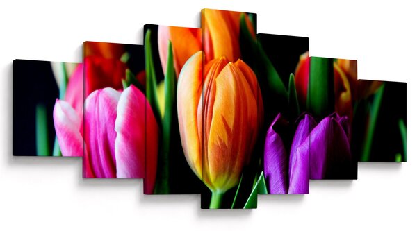 Obraz tulipánů na černém pozadí (210x100 cm)