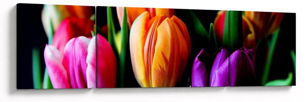 Obraz tulipánů na černém pozadí (170x50 cm)
