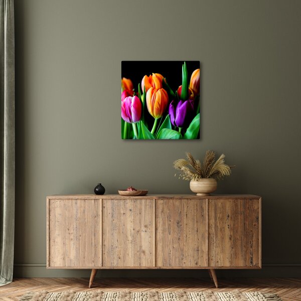 Obraz tulipánů na černém pozadí (30x30 cm)