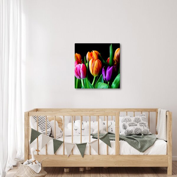 Obraz tulipánů na černém pozadí (30x30 cm)