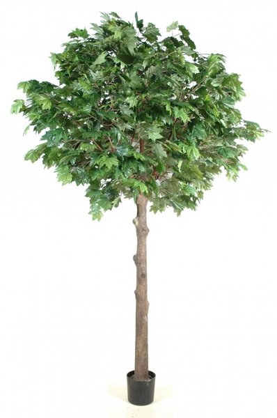 Sycamore Platinum strom, 300cm (umělý strom)