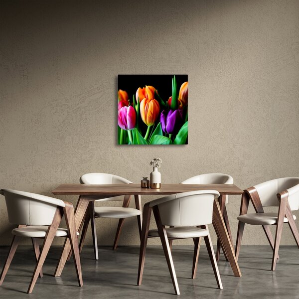 Obraz tulipánů na černém pozadí (30x30 cm)