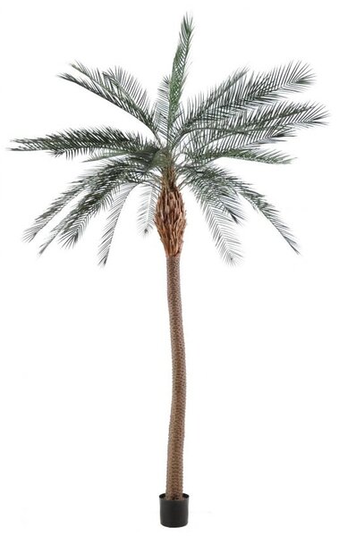 Umělá Phoenix palma tenký kmen, 280cm