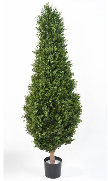 Venkovní umělý strom Buxus klasik, 185cm