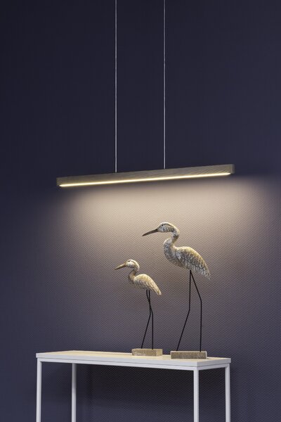 BRITOP Závěsné LED svítidlo FORESTIER, 12W, d. 90 cm, CRI 80 Barva: Šedá