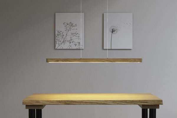 BRITOP Závěsné LED svítidlo FORESTIER, 12W, d. 90 cm, CRI 80 Barva: Šedá