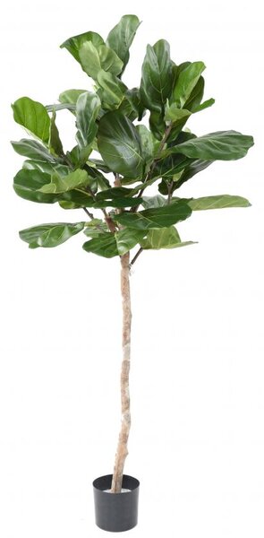 Umělý strom Lyrata, 175cm