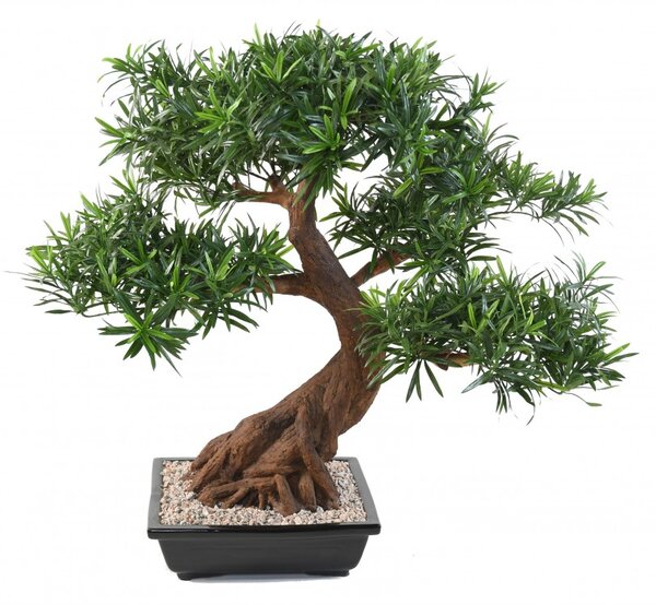 Umělý Bonsai Podocarpus deluxe, 78cm