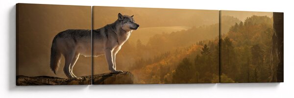 Obraz vlka na skále (170x50 cm)