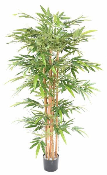 Umělý Bambus strom - přírodní kmeny, 175cm