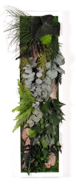 Rostlinný obraz WOODY z mechu a rostlin