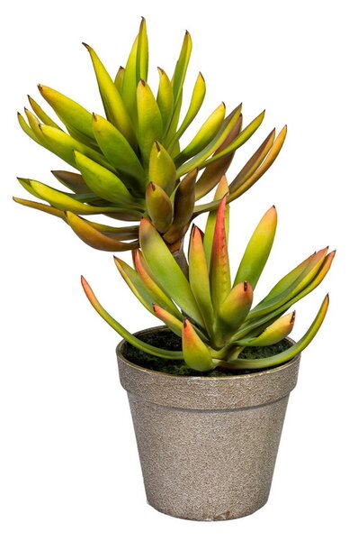 Aloe plicatilis v květináči, 30cm (Umělá květina)