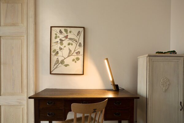 BRITOP Stolní LED lampa RAPID 4,5W, v. 46 cm, CRI80