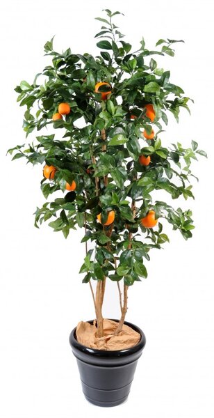 Umělý strom Pomerančovník strom, 150cm