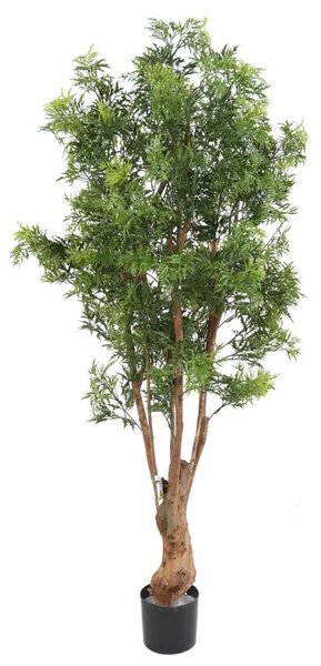 Umělý strom Aralia Ming Nitida TN UV, 170cm