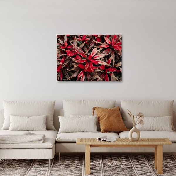Obraz červených okvětních lístků (70x50 cm)