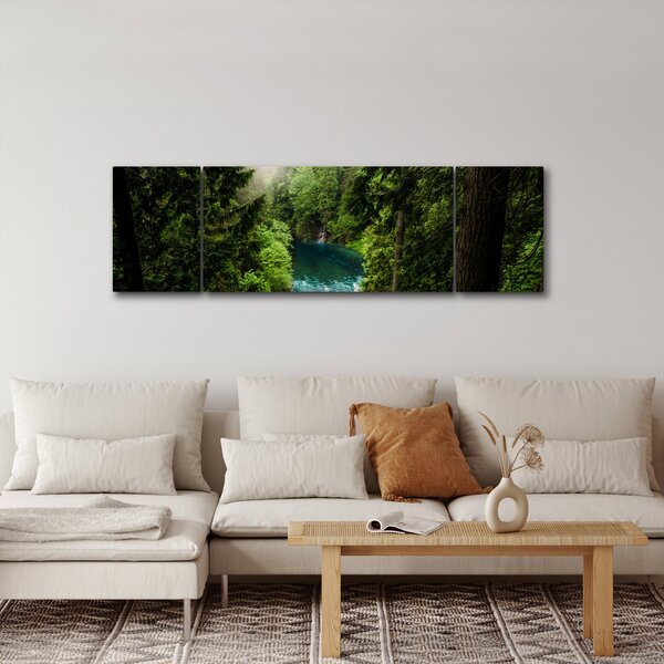Obraz - Průzor mezi stromy (170x50 cm)
